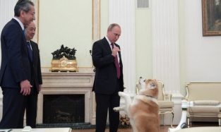 Владимир Путин пришел в Кремль с собакой